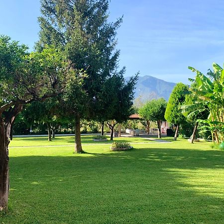 Villa Josette Sant'Egidio del Monte Albino Экстерьер фото